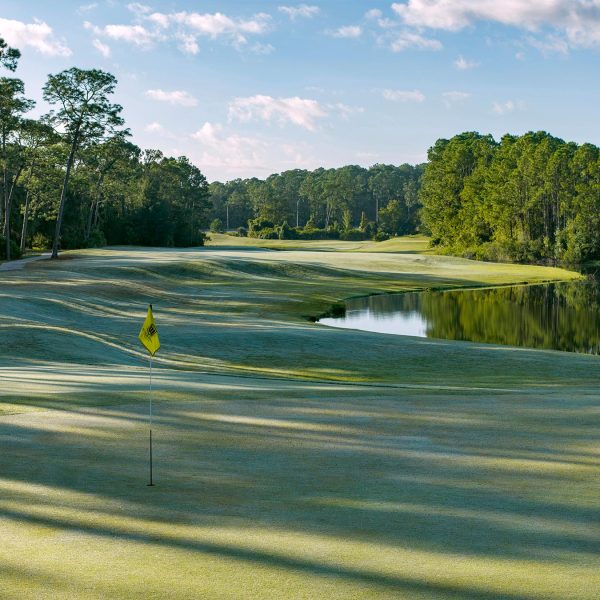 Windsor Parke Golf Club in Jacksonville FL - Hole 16 Green